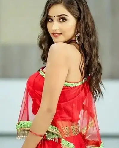 Escort In Nawagarh